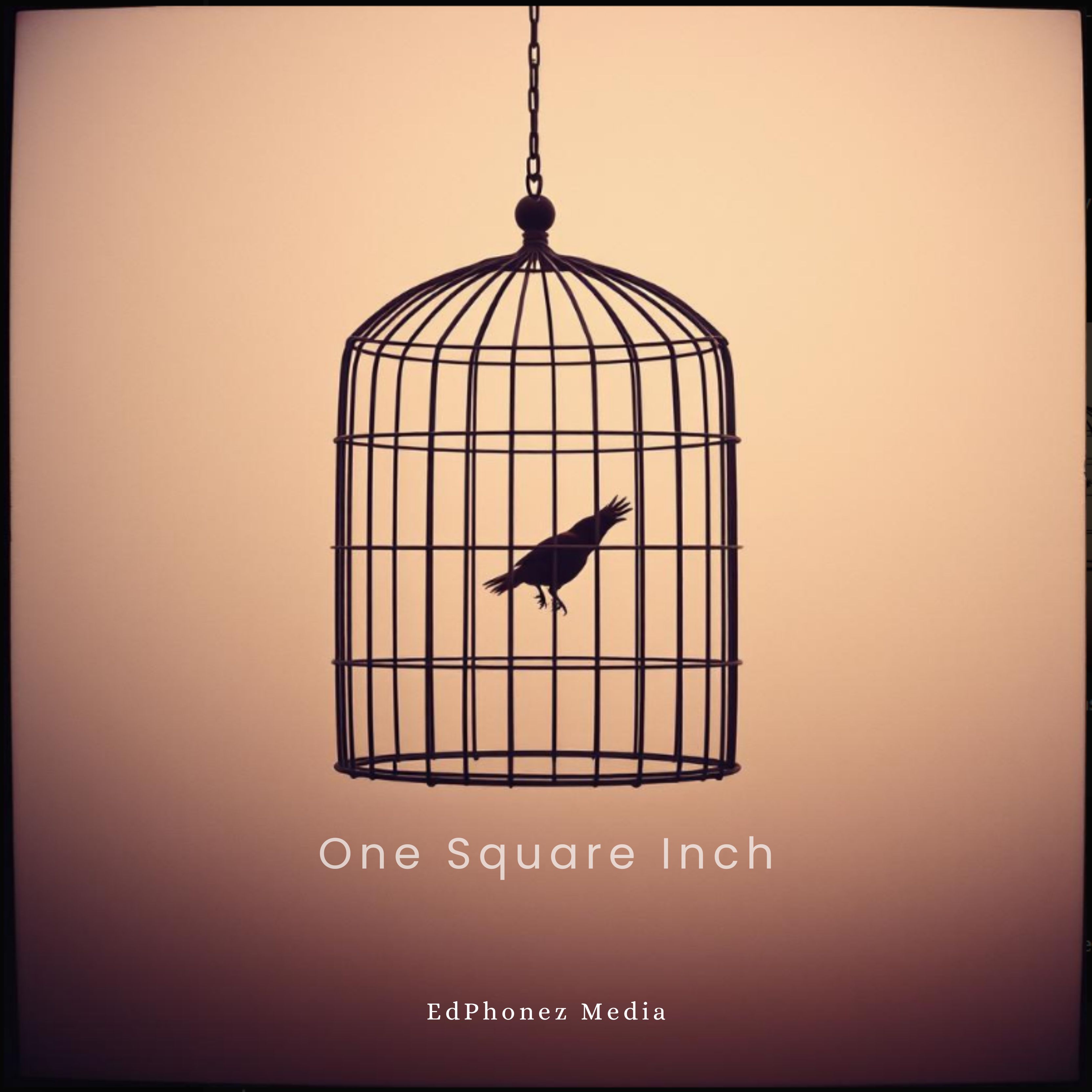 One Square Inch Album Cover